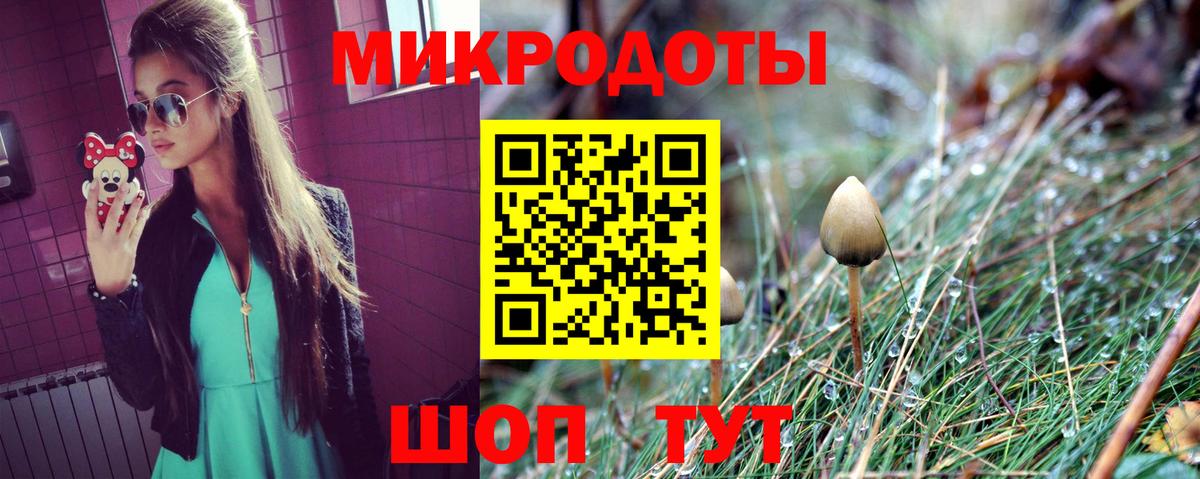 Галлюциногенные грибы Psilocybine cubensis Пыть-Ях